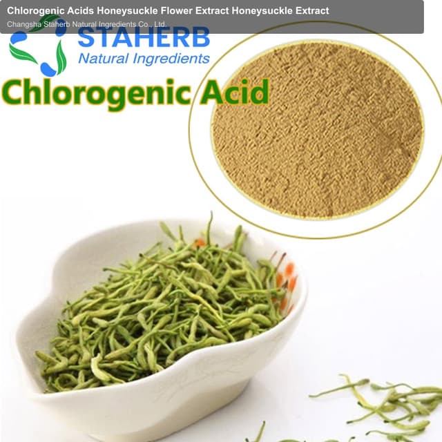 Chlorogenic Acids Honeysuckle Flower Extract Honeysuckle Extract