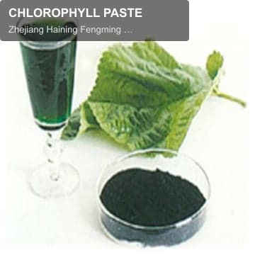CHLOROPHYLL PASTE