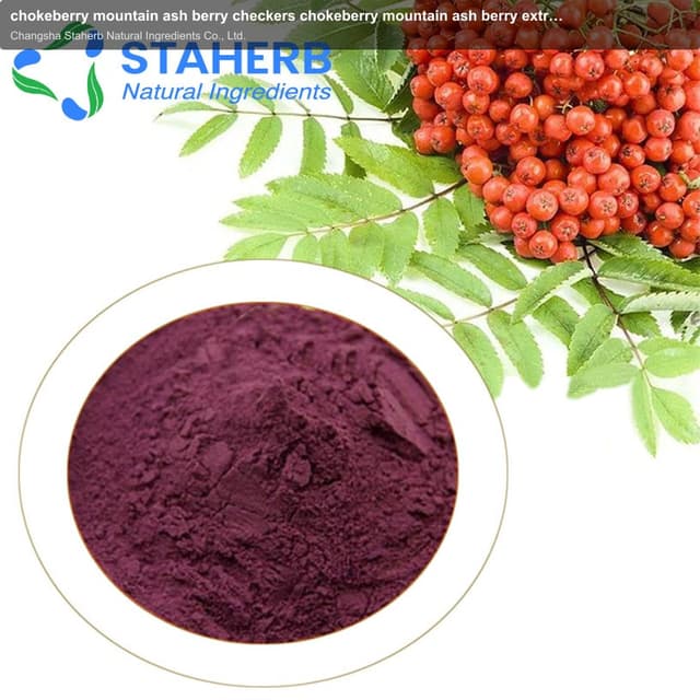 chokeberry mountain ash berry checkers chokeberry mountain ash berry extract