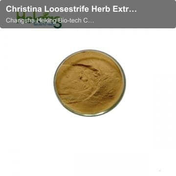 Christina Loosestrife Herb Extract
