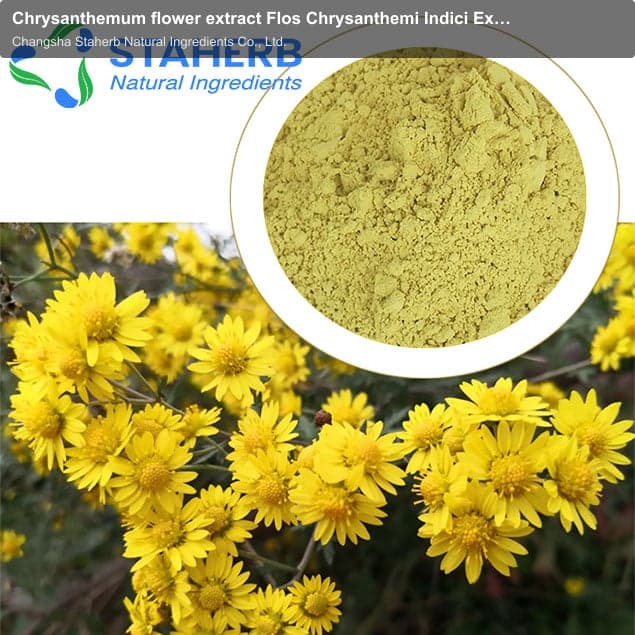 Chrysanthemum flower extract Flos Chrysanthemi Indici Extract Chrysanthemi Indici Flos P.E CHRYSANTH