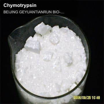 Chymotrypsin