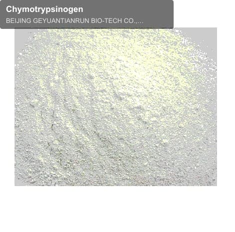 Chymotrypsinogen