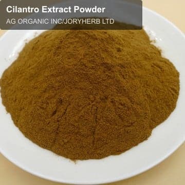 Cilantro Extract Powder