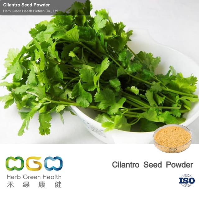Cilantro Seed Powder