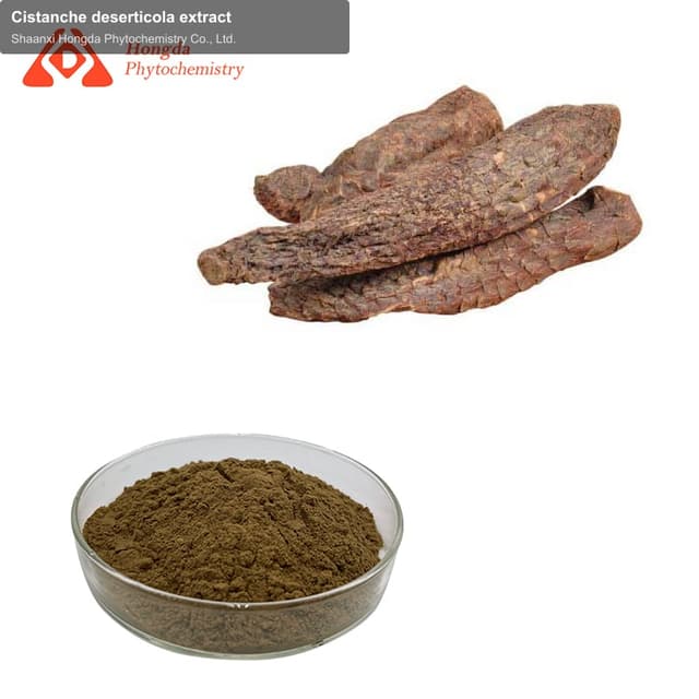 Cistanche deserticola extract