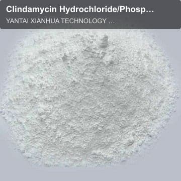 Clindamycin Hydrochloride/Phosphate