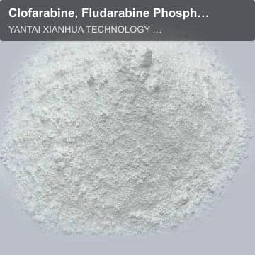 Clofarabine, Fludarabine Phosphate
