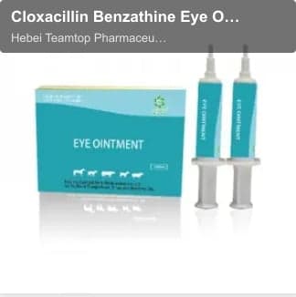 Cloxacillin Benzathine Eye Ointment