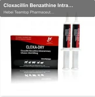 Cloxacillin Benzathine Intramammary Infusion( Dry Cow)