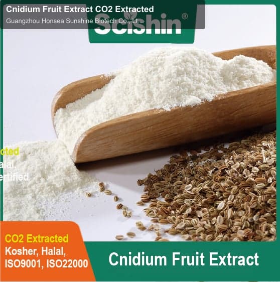 Cnidium Fruit Extract CO2 Extracted