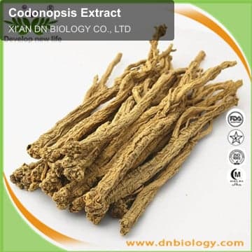 Codonopsis Extract