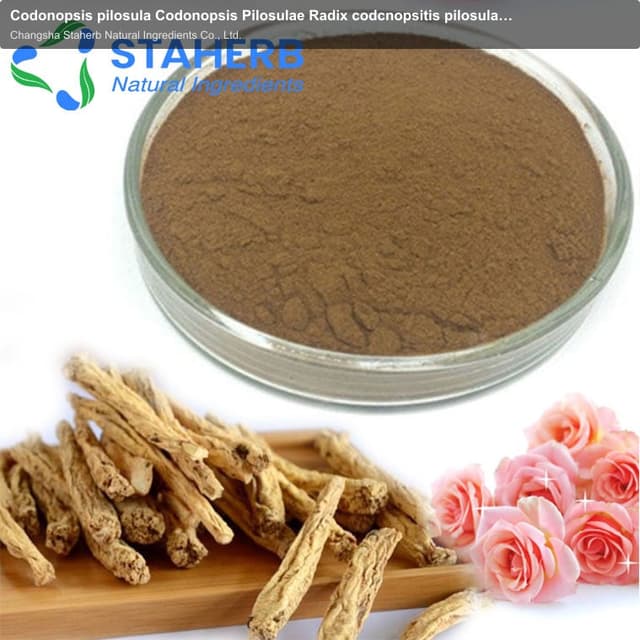Codonopsis pilosula Codonopsis Pilosulae Radix codcnopsitis pilosulas dangshen extract