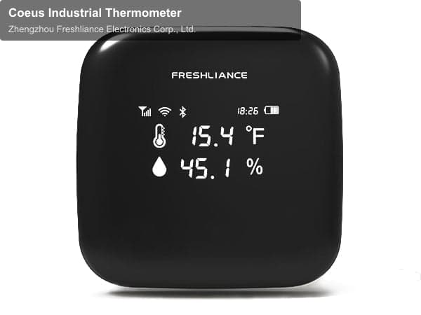 Coeus Industrial Thermometer