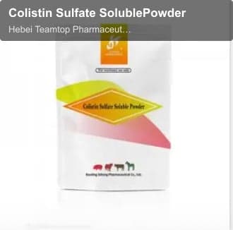 Colistin Sulfate SolublePowder