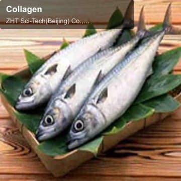 Collagen