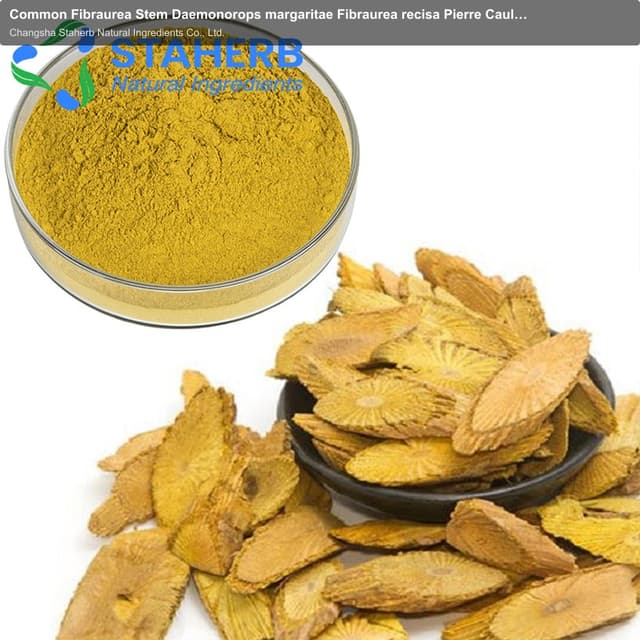Common Fibraurea Stem Daemonorops margaritae Fibraurea recisa Pierre Caulis Fibraureae extract Palm