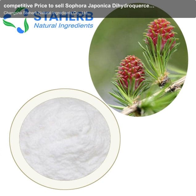 competitive Price to sell Sophora Japonica Dihydroquercetin