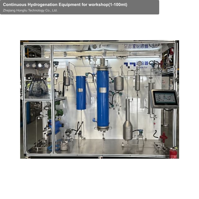Continuous Hydrogenation Equipment for workshop(1-100mt)
