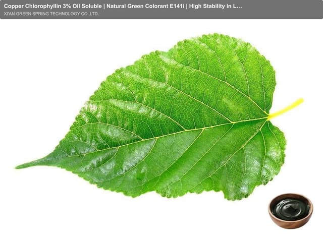 Copper Chlorophyllin 3% Oil Soluble | Natural Green Colorant E141i | High Stability in Lipid Systems | Green Spring Technology