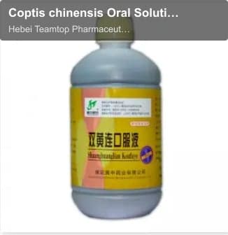 Coptis chinensis Oral Solution(Shuang Huang Lian Oral Solution)