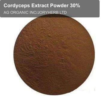 Cordyceps Extract Powder 30%