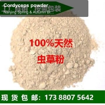 Cordyceps powder