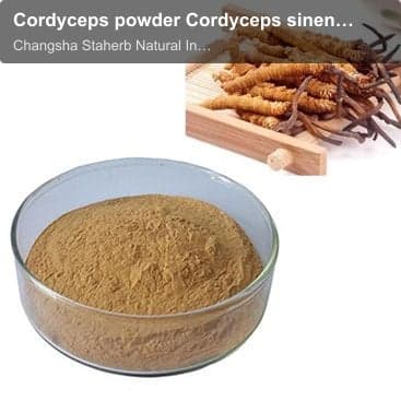 Cordyceps powder Cordyceps sinensis powder Worm Grass powder Chinese Language Learning powder chines