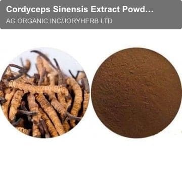Cordyceps Sinensis Extract Powder7%