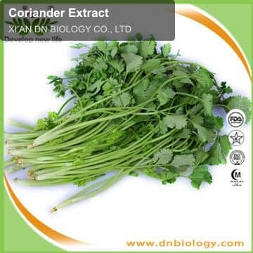Coriander Extract