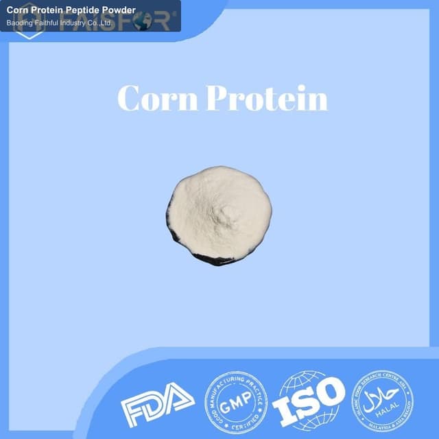 Corn Protein Peptide Powder
