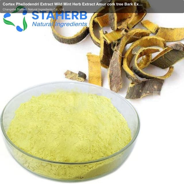 Cortex Phellodendri Extract Wild Mint Herb Extract Amur cork tree Bark Extract Amoorcom tree bark P.