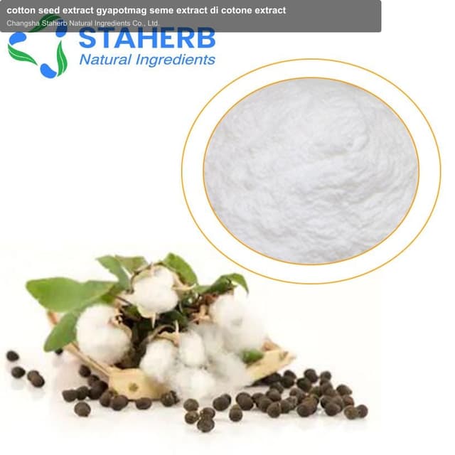 cotton seed extract gyapotmag seme extract di cotone extract