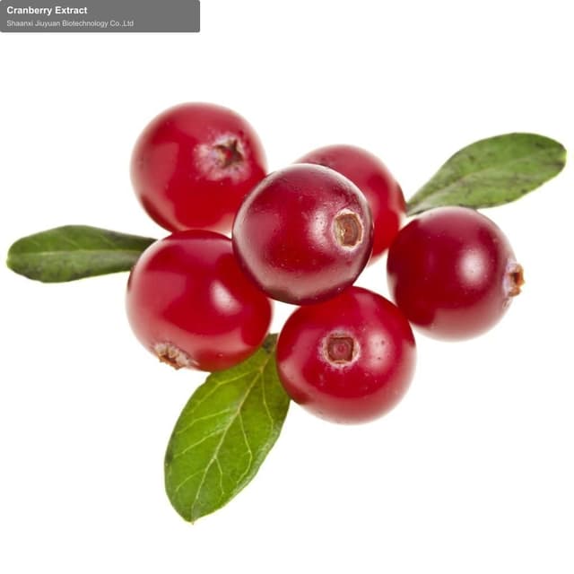 Cranberry Extract