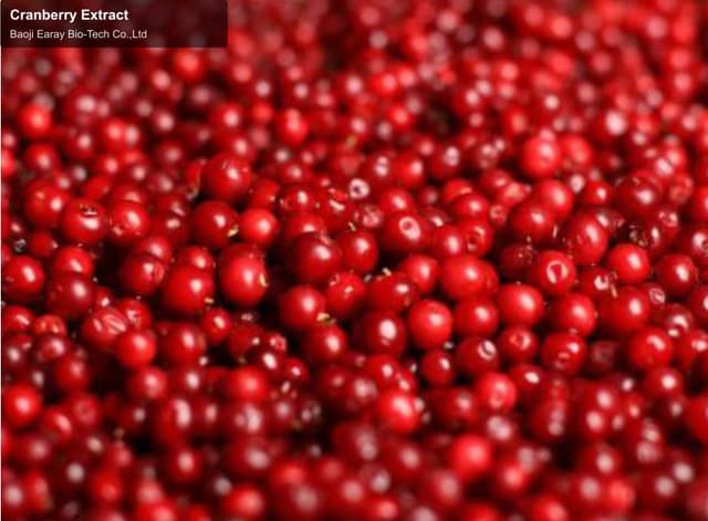 Cranberry Extract