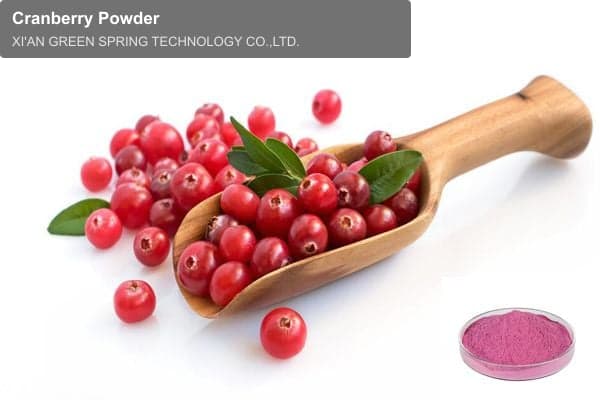 Cranberry Powder