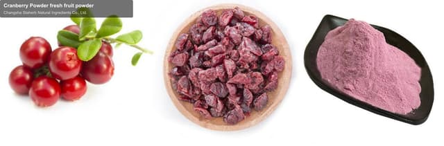 Cranberry Powder fresh fruit powder
