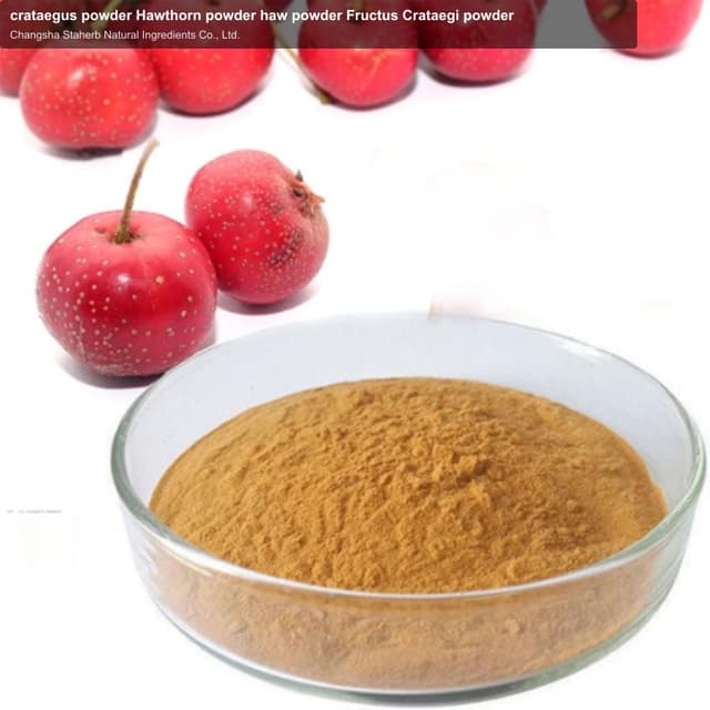 crataegus powder Hawthorn powder haw powder Fructus Crataegi powder