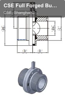 CSE Full Forged Butterfly Valves SMS MALE BUTTERFLY VALVE
