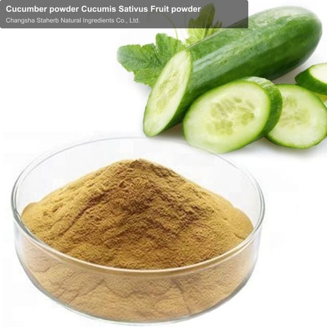 Cucumber powder Cucumis Sativus Fruit powder