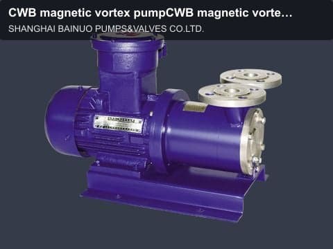 CWB magnetic vortex pumpCWB magnetic vortex pump