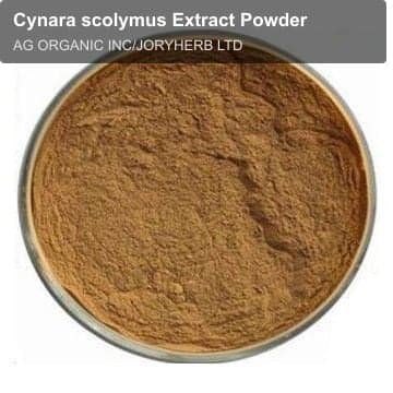 Cynara scolymus Extract Powder