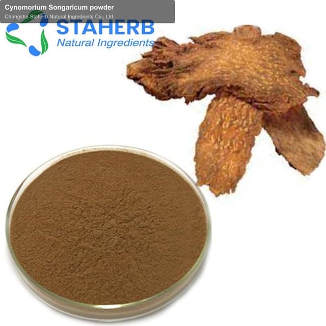 Cynomorium Songaricum powder