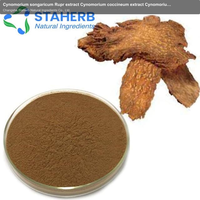 Cynomorium songaricum Rupr extract Cynomorium coccineum extract Cynomorium extract Herba Cynomorii e