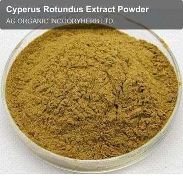 Cyperus Rotundus Extract Powder