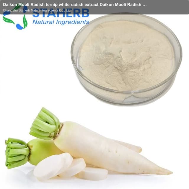 Daikon Mooli Radish ternip white radish extract Daikon Mooli Radish ternip white radish powder