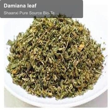 Damiana leaf