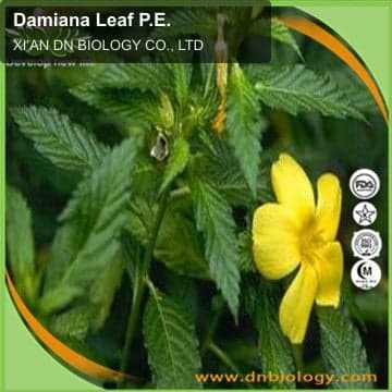 Damiana Leaf P.E.