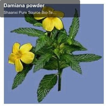 Damiana powder