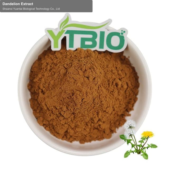 Dandelion Extract